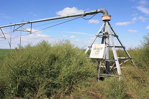 Property photo 67 - LAND AUCTION, 3255+/- Acres offered in 13 Tracts